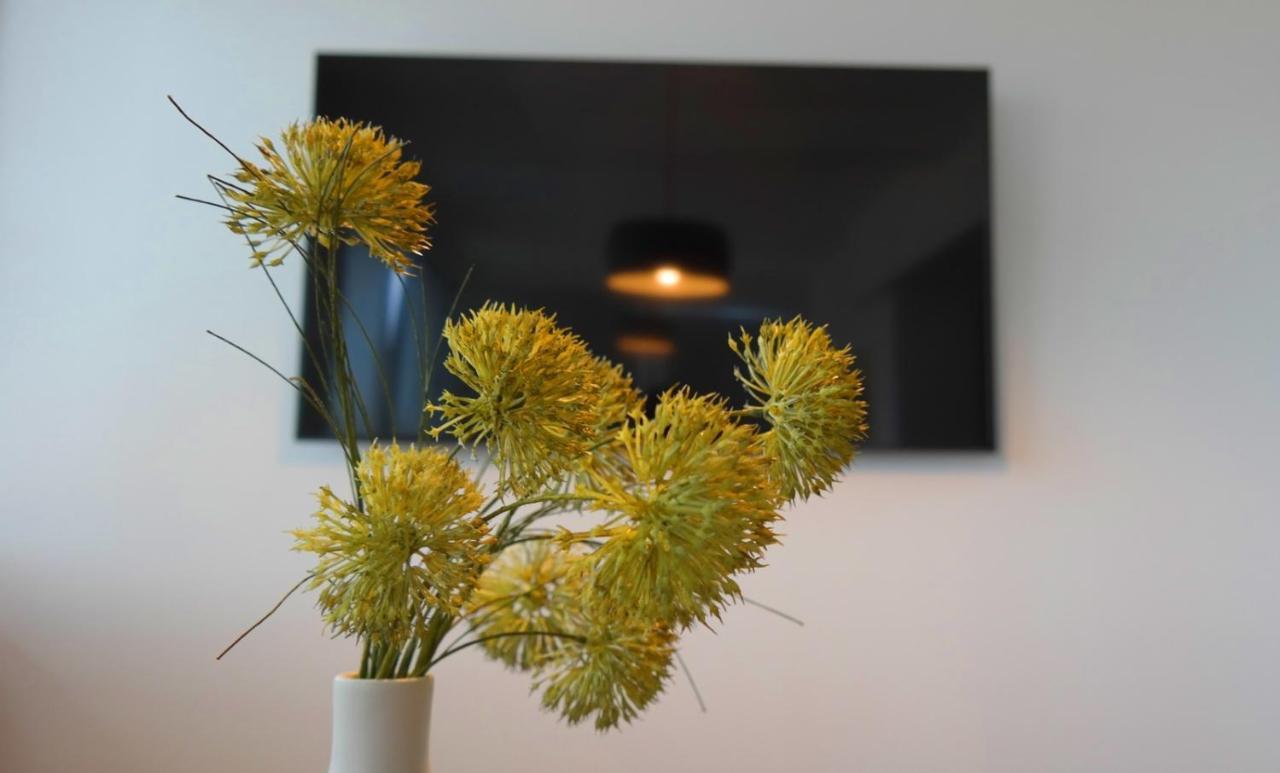 Apartment Flora بولا المظهر الخارجي الصورة